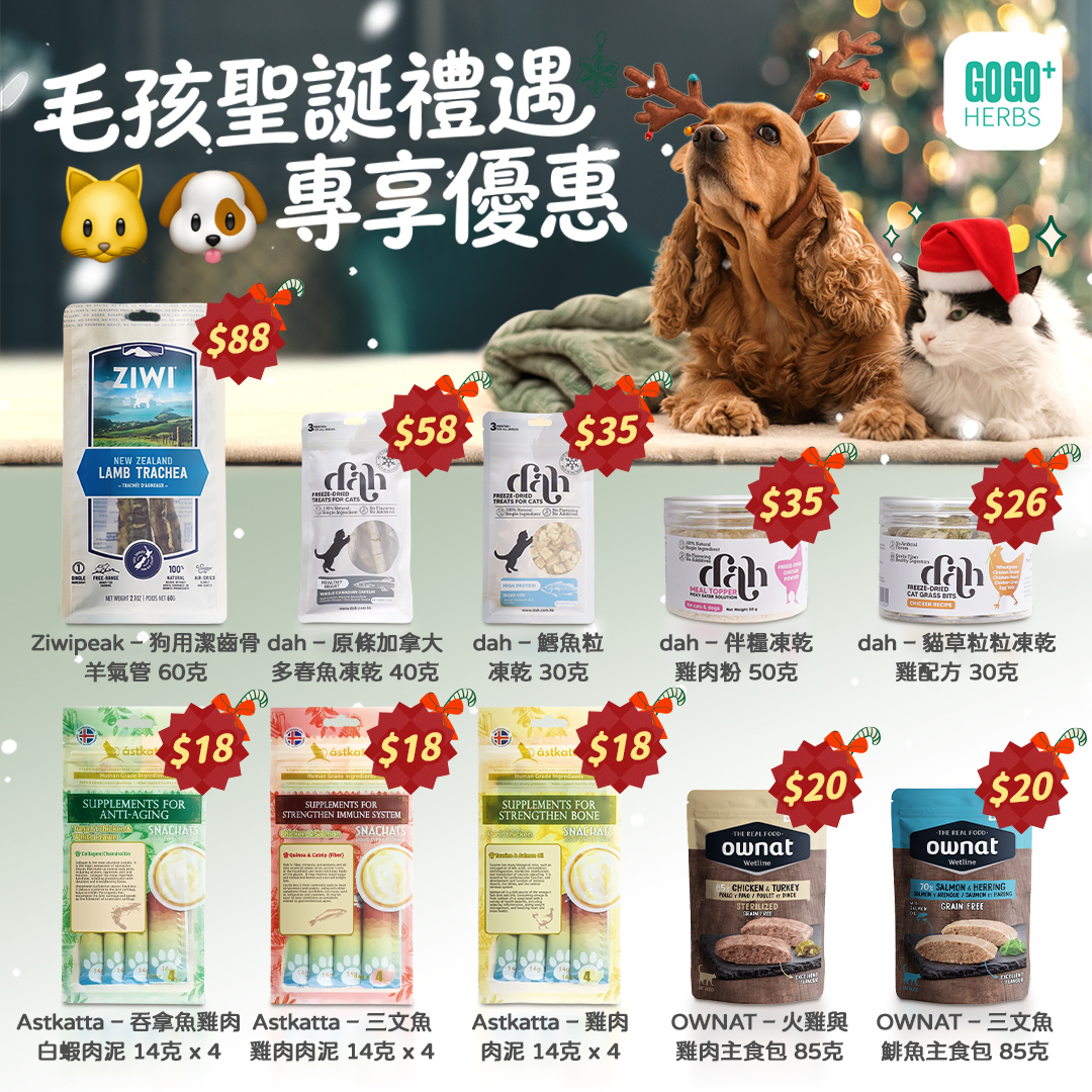 _20251212165207_115_1484