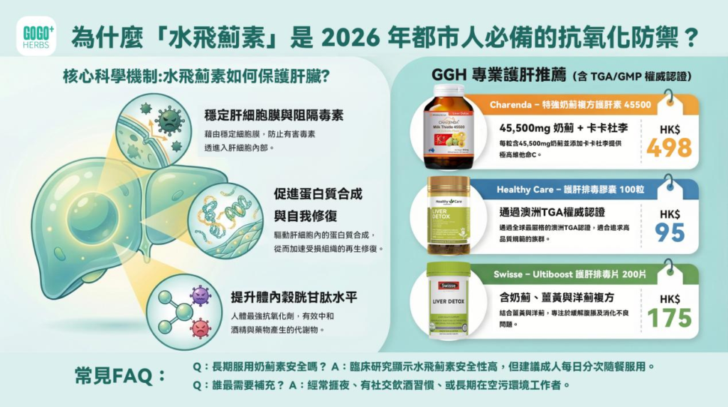 【肝臟代謝科學】為什麼「水飛薊素(Silymarin)」是 2026 年都市人必備的抗氧化防禦?
