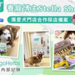 GogoHerbs營運內部記錄｜養寵博主Stella攜愛犬門店合作探店備案