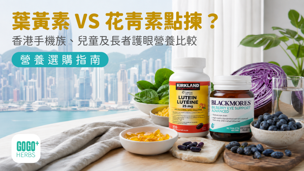 香港葉黃素、玉米黃素、藍莓花青素和山桑子護眼營養選購指南