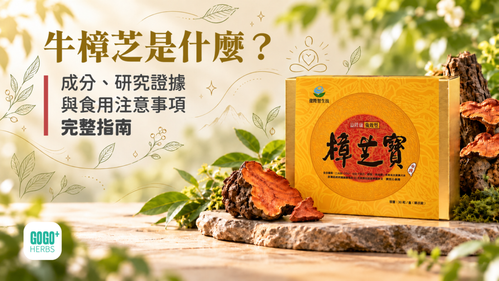牛樟芝子實體與膠囊製品示意
