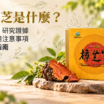 牛樟芝子實體與膠囊製品示意